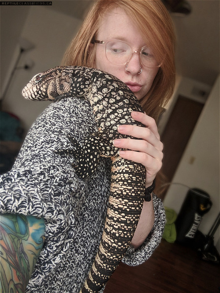 Male and Fmale Argentine Black And White Tegu