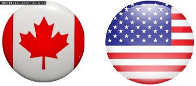 Canada/USA Import & Export - Reptile Classifieds Canada