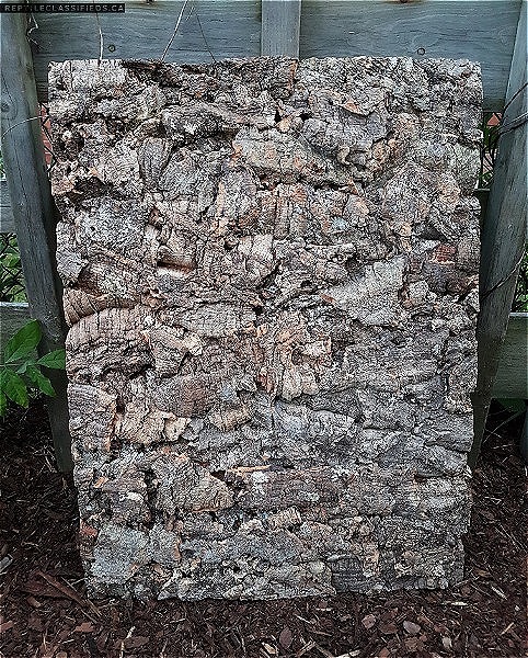 Cork Bark Panels