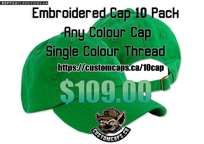 Embroidered Promotional Caps for your business!