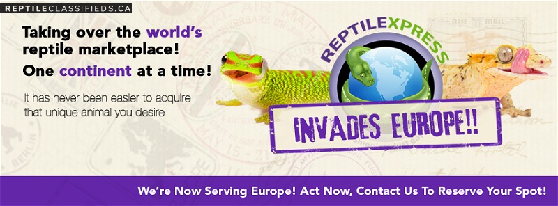 Europe Imports & Exports - Reptile Classifieds Canada
