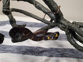 CBB Mangrove Snake 