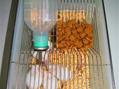 Mouse Breeding Cages: