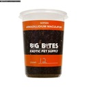 The Dragon Lair presents BIG BITES PRODUCT LINE! (Springtails, Isopods, Woodlice & more(
