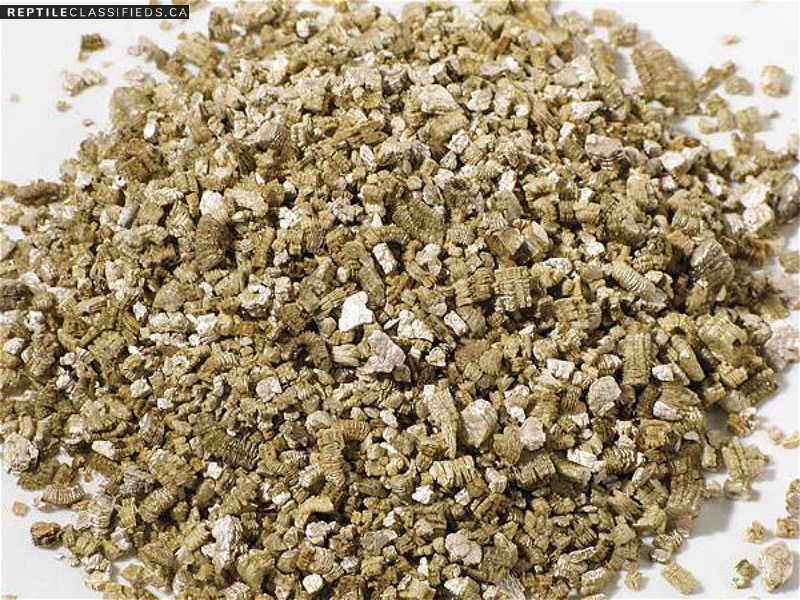 Vermiculite - Reptile Classifieds Canada